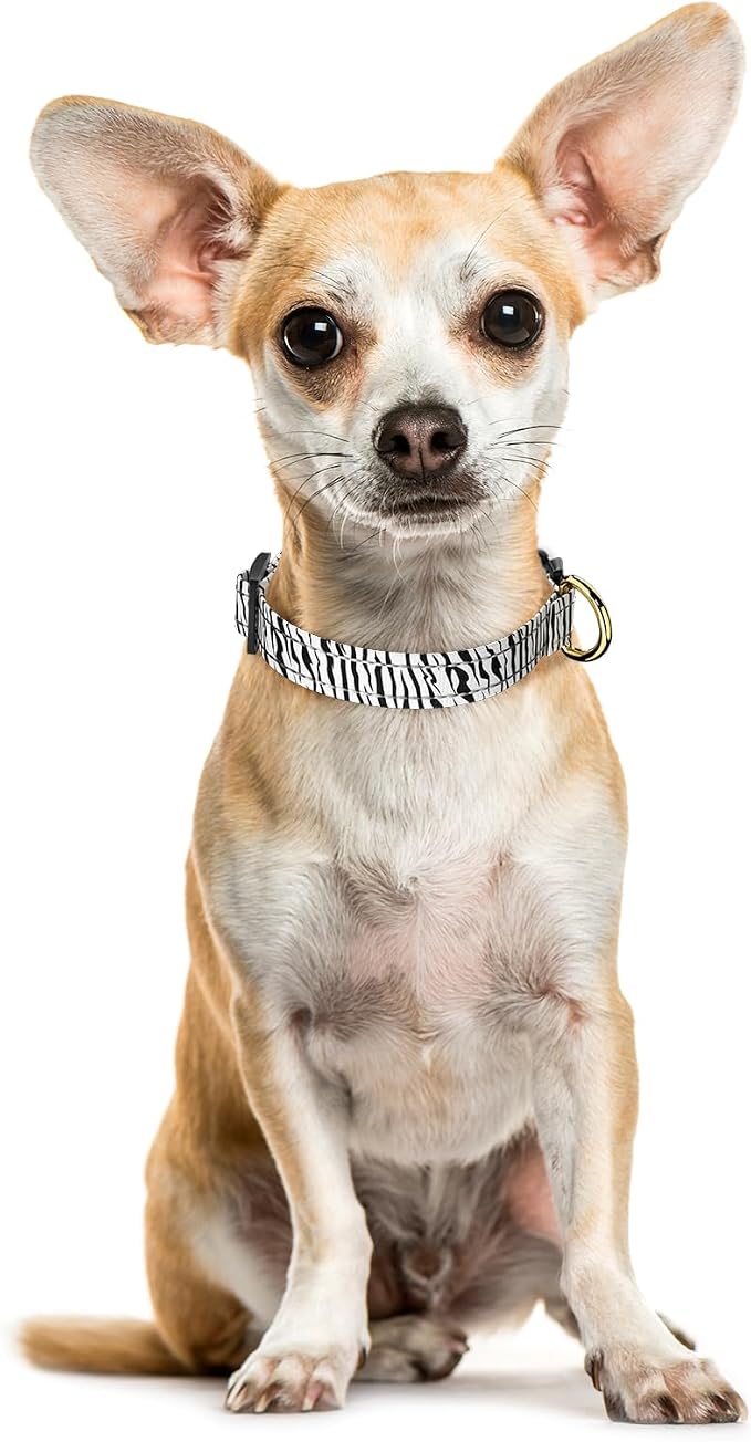 Reflective Dog Collar for Extra Small Dogs Cats, Cute Boho Adjustable - Image 2