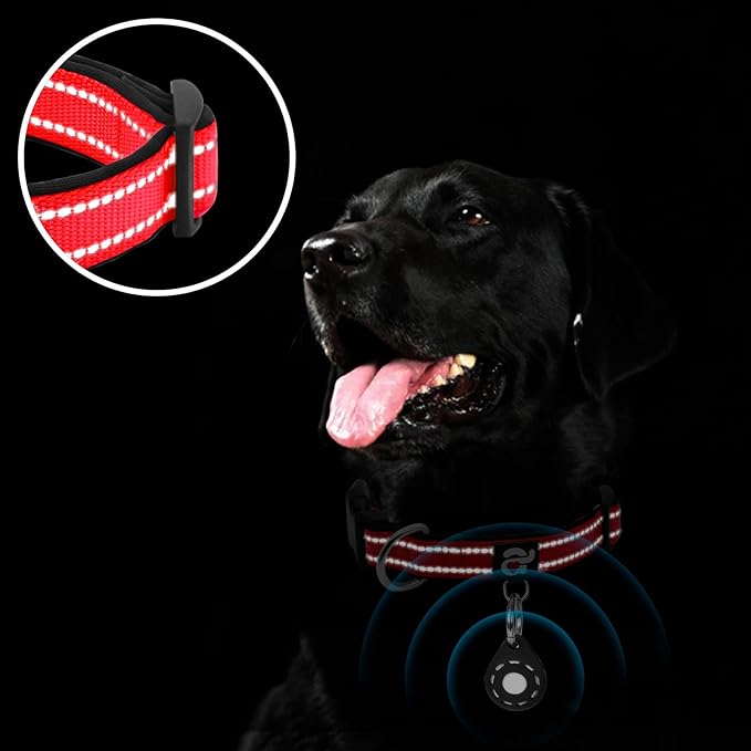 azuza Reflective Dog Collar - Image 5