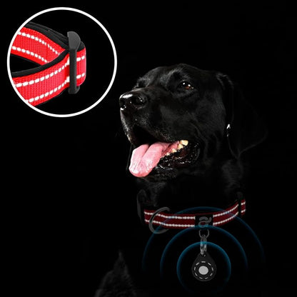 azuza Reflective Dog Collar - Image 5