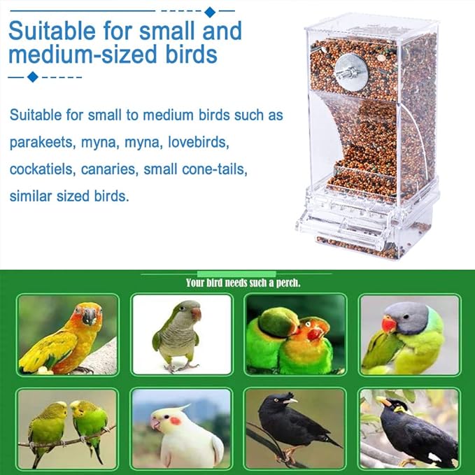 Hamiledyi Automatic Parrot Feeder - Image 7