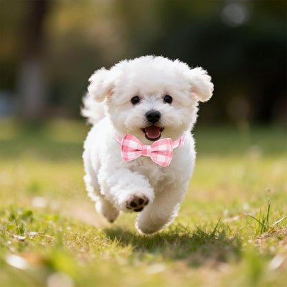EXPAWLORER Cute Cat Collar Breakaway - Image 7