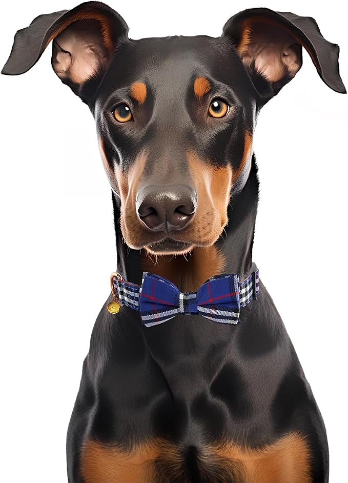 Yizepet Dog Collar with Bow Tie- Adjustable pet Collar - Image 6