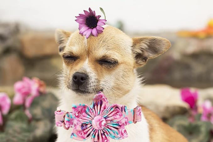 Lionheart Glory Dog Collar, Cute Floral Pattern Pet Collar Adjustable Dog Collar - Image 5