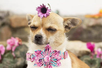 Lionheart Glory Dog Collar, Cute Floral Pattern Pet Collar Adjustable Dog Collar - Image 5