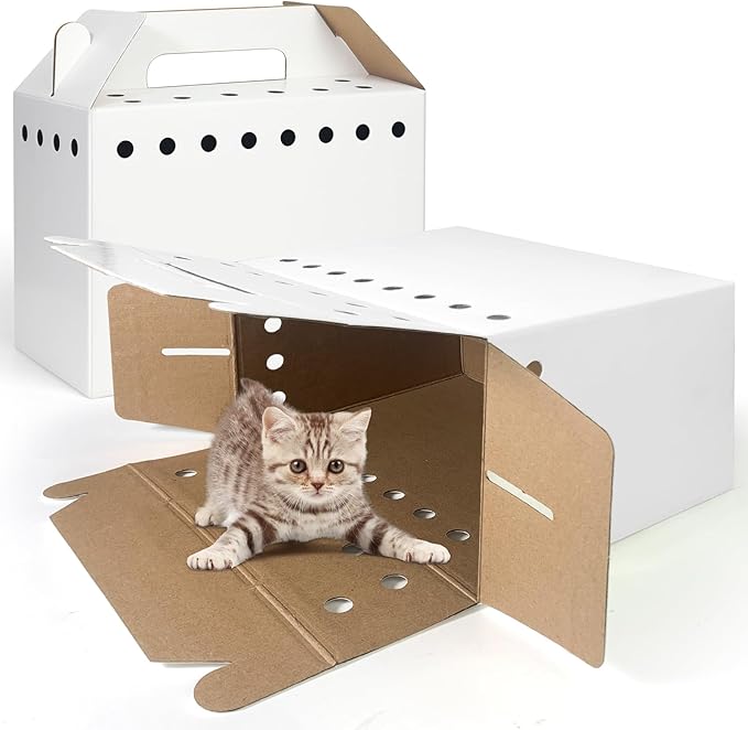 Disposable Cardboard Pet Carrier - Image 3