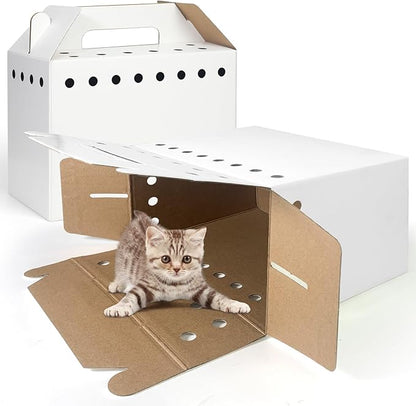 Disposable Cardboard Pet Carrier - Image 3