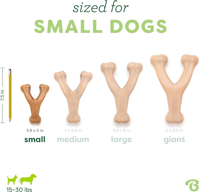 Benebone Wishbone Durable Dog Chew Toy - Image 4