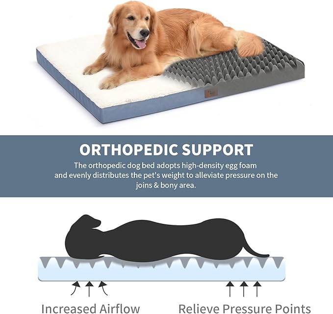 Dog Beds for Large Dogs, Comfort Orthopedic Dog Bed for Extra Large Dogs - Image 3