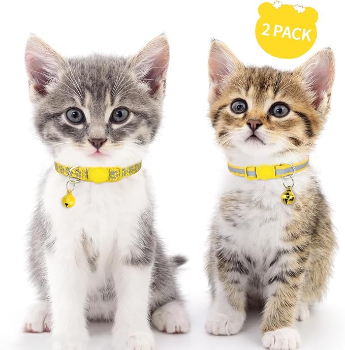 Taglory Kitten Collar Breakaway - Image 2