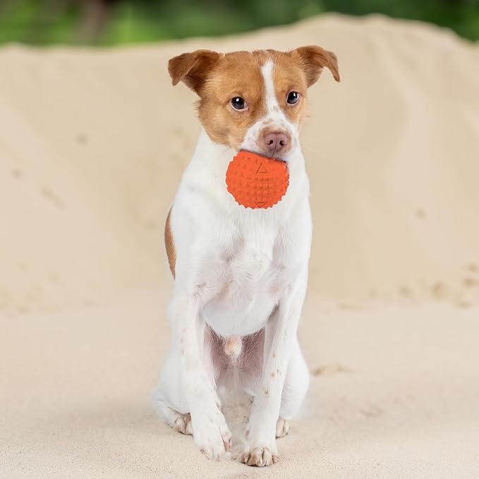 Best Pet Supplies Interactive Squeaky Dog Chew Toy, Ideal Dog Toys - Image 6