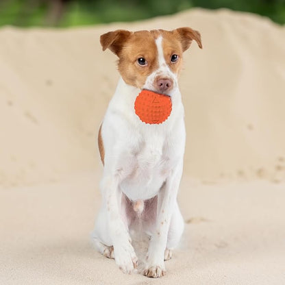 Best Pet Supplies Interactive Squeaky Dog Chew Toy, Ideal Dog Toys - Image 6