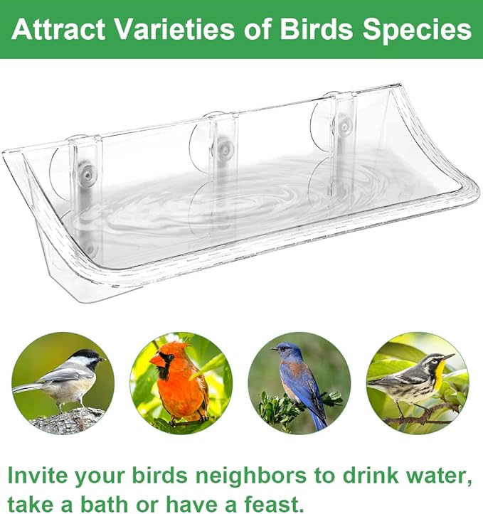 Clear Window Mounted Bird Feeder Bath - Image 6