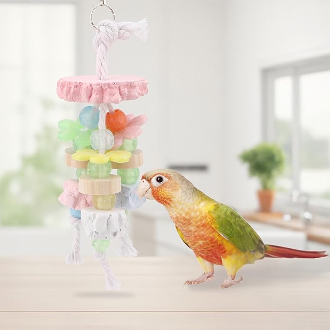 Hypeety Bird Calcium Teeth Grinding Stone Chew Treats Toy Beak Buffer Stone - Image 6