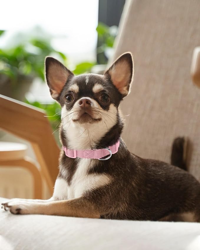 Dynmeow Soft and Breathable Cotton Dog Collar, Durable Adjustable Cute Female - Image 6