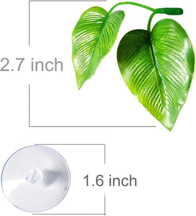 CousDUoBe 4 Pack Betta Fish Leaf Pad Improves Betta's Health by Simulating The - Image 3