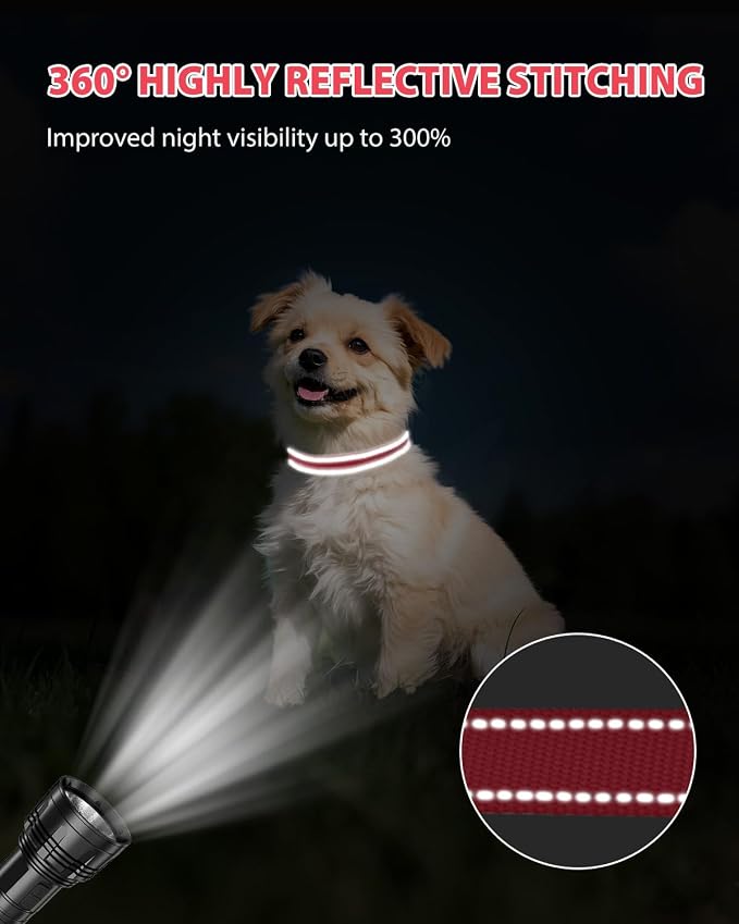 Joytale Small Dog Collar, Reflective and Adjustable Nylon Collar - Image 5