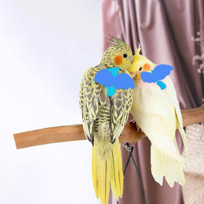 Dnoifne Pet Parrot Bird Harness and Leash, Adjustable Training Design Anti-Bite - Image 3