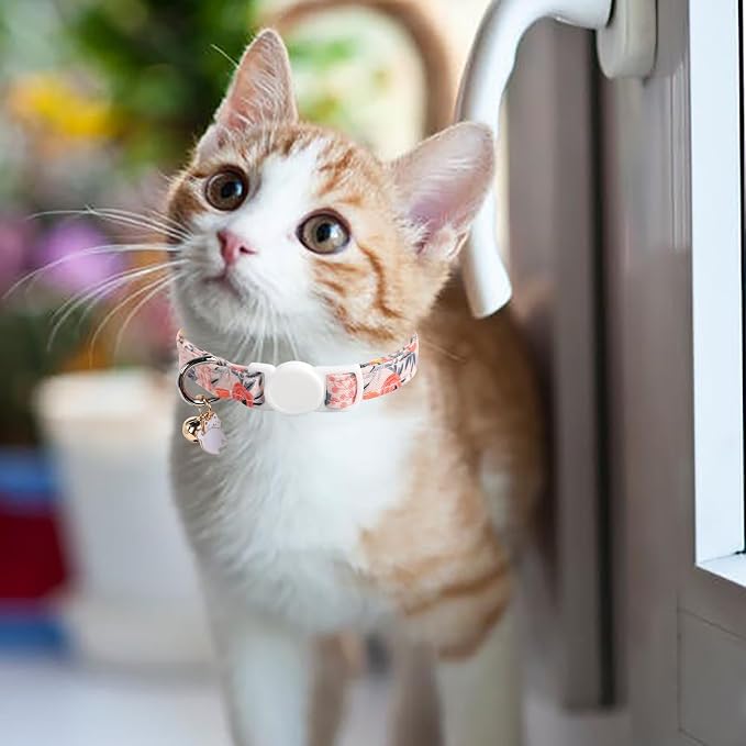 Unique style paws 2 Pack Kitten Collar Breakaway - Image 5