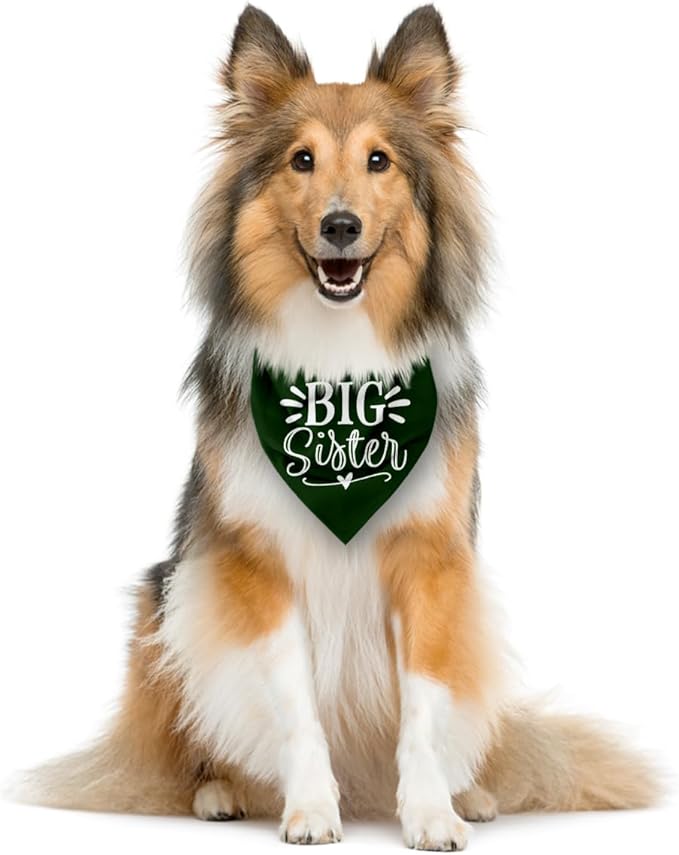 Big Sister Bandana for Dogs, Pet Pregnancy Announcement, Dark Green Dog Bandana - Image 4