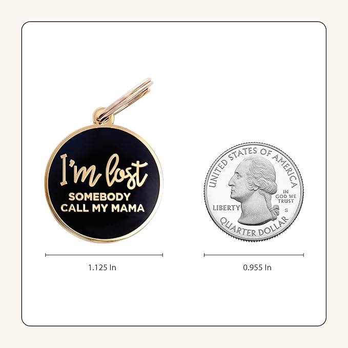 Two Tails Pet Company Dog Tags Personalized “I'm Lost, Somebody Call My Mama” - Image 5