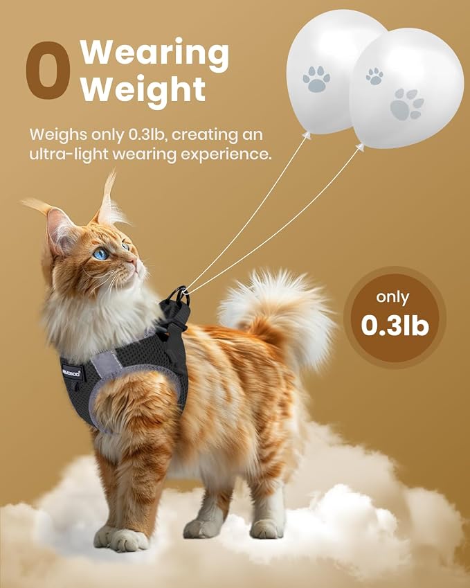 FAYOGOO Cat Harness and Leash Set - Image 4