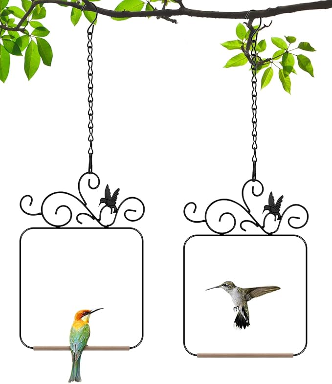 PACETAP Hummingbird Swings and Perches Metal Frame 2 Pack, Wild Bird Swing by PACETAP