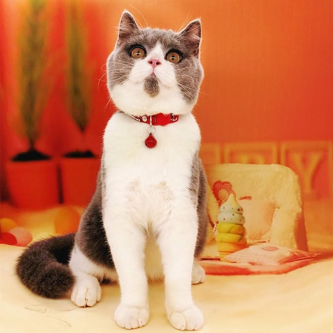 THAIN Basic Adjustable Cat Collar Bling Diamond Breakaway - Image 6