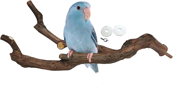 kathson Natural Parrot Perch Bird Stand Pole Wild Grape Stick Paw Grinding Fork by kathson