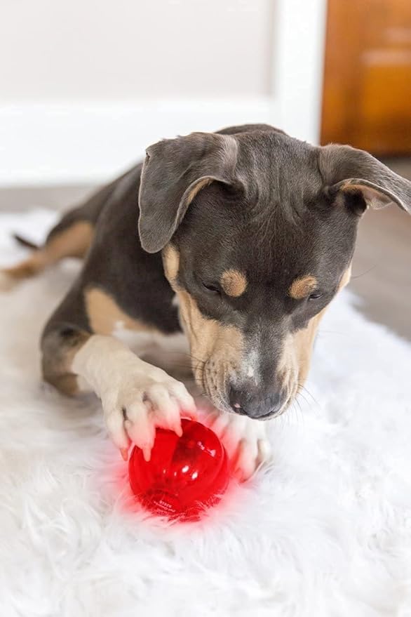 Pet Qwerks Blinky Babble Ball - Image 3