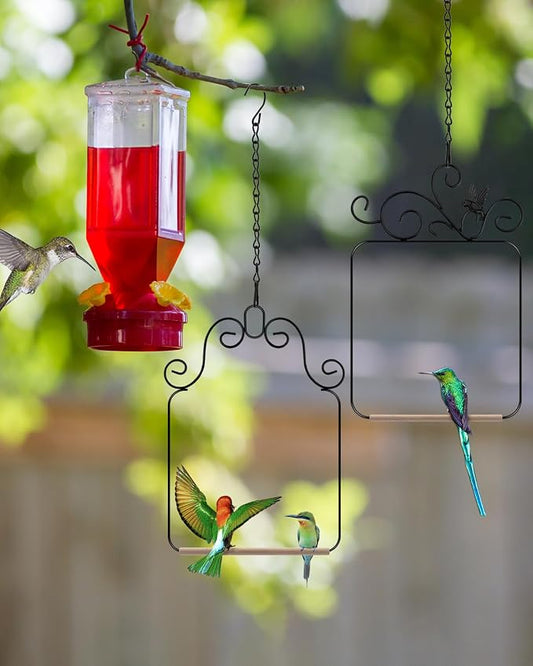 PACETAP Hummingbird Swings and Perches Metal Frame 2 Pack, Wild Bird Swing - Image 2