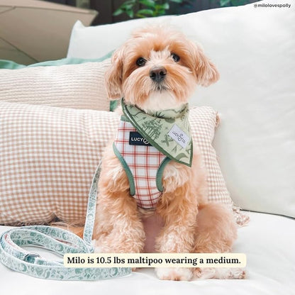 Lucy & Co. Cute Reversible Dog Harness Walking Halter - Image 4