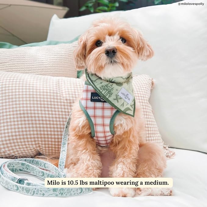Lucy & Co. Cute Reversible Dog Harness Walking Halter - Image 4