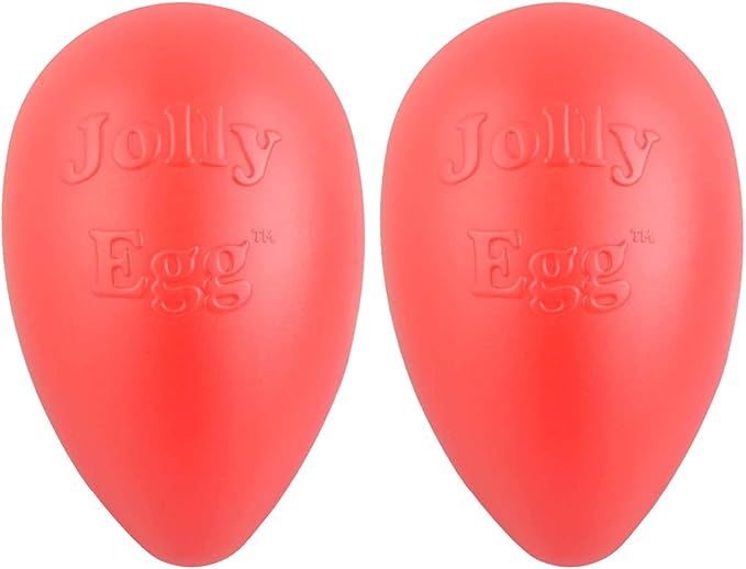 Jolly Pets Jolly Egg Dog Toy, 8 Inches/Medium by JollyPets