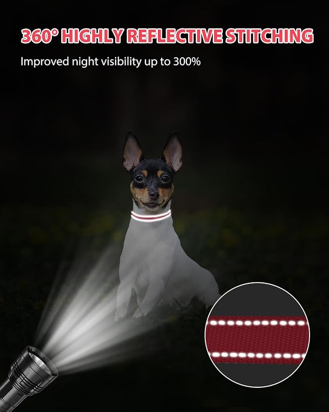 Joytale Small Dog Collar, Reflective and Adjustable Nylon Collar - Image 5