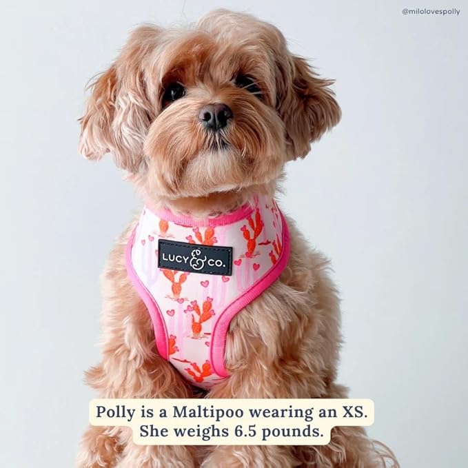 Lucy & Co. Cute Reversible Dog Harness Walking Halter - Image 10