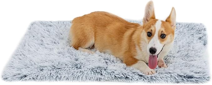 PJYuCien Dog Blankets for Small Dogs Washable by PJYuGienPetGarden