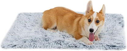 PJYuCien Dog Blankets for Small Dogs Washable by PJYuGienPetGarden