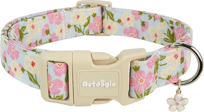 Dog Collar for Small Medium Large Dogs, Spring Blue Dog Collars by Unknown
