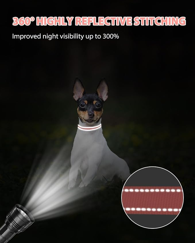 Joytale Small Dog Collar, Reflective and Adjustable Nylon Collar - Image 5