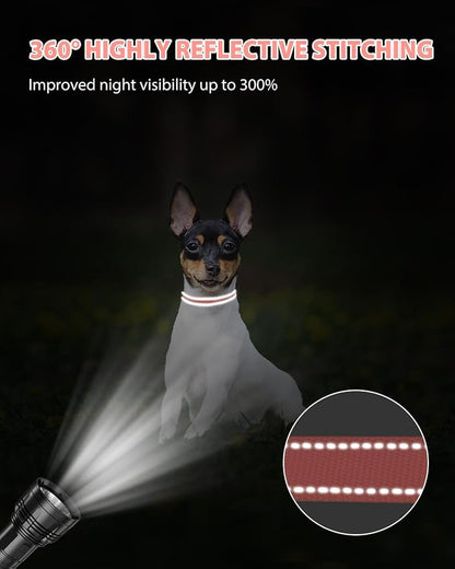 Joytale Small Dog Collar, Reflective and Adjustable Nylon Collar - Image 5