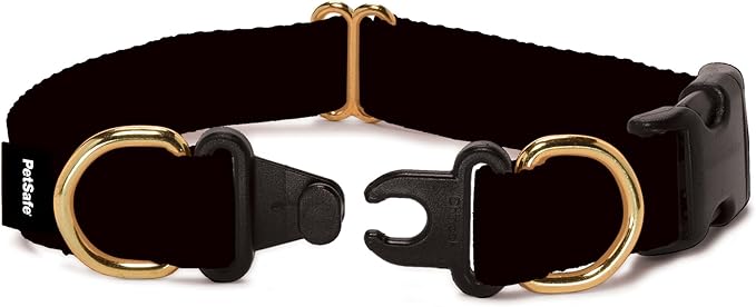 PetSafe KeepSafe Collar for Dogs by PetSafe