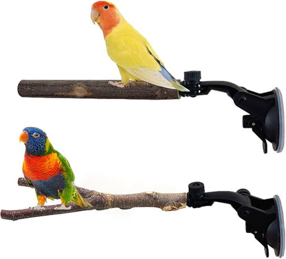 Natural Wood Bird Perch Stand by KeaJuidy