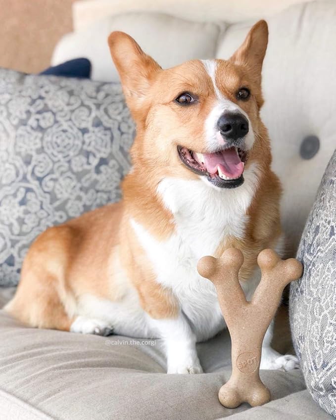 SPOT Bam-Bones Wishbone - Image 9