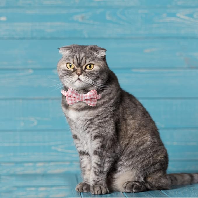 AIITLE Breakaway Cat Collar - Image 5
