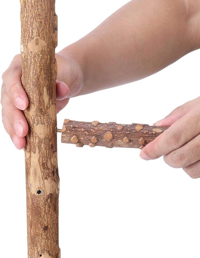 Bird Perch Nature Wood Stand for 3-4pcs Small Medium Parrots - Image 4