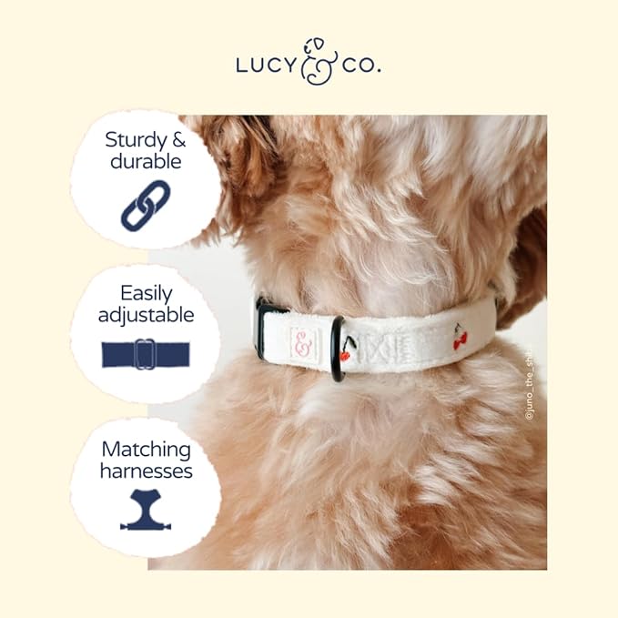 Lucy & Co. Sipping Slowly Dog Collar, Adjustable Durable Dog Collar - Image 3