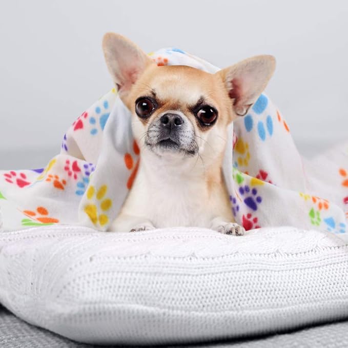Comsmart Dog Blankets for Small Dogs, 6 Pack Puppy Blanket Cute Paw Print Pet - Image 5