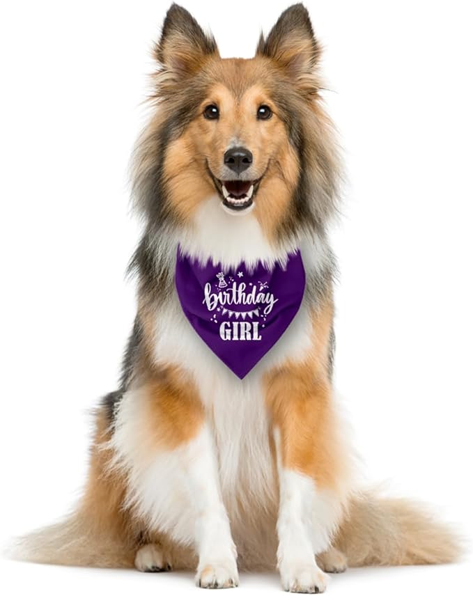 Birthday Girl Dog Bandana - Image 3