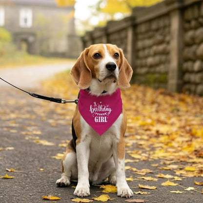 Birthday Girl Dog Bandana, Deep Pink Dog Bandana, Funny Cute Dog Bandana - Image 5