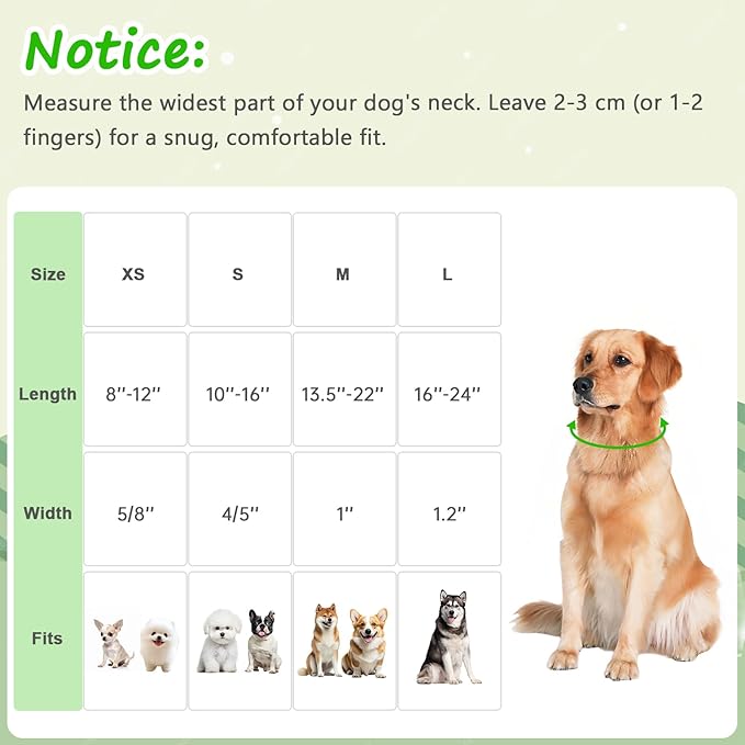Medium Dog Collars for Male Dogs, Boy Dog Collars - Image 2